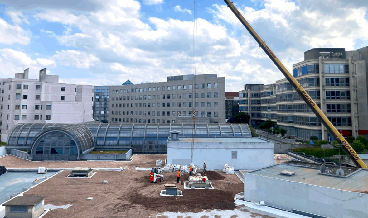 5,000 m² reimagined: urban farming on the roof of a shopping centre