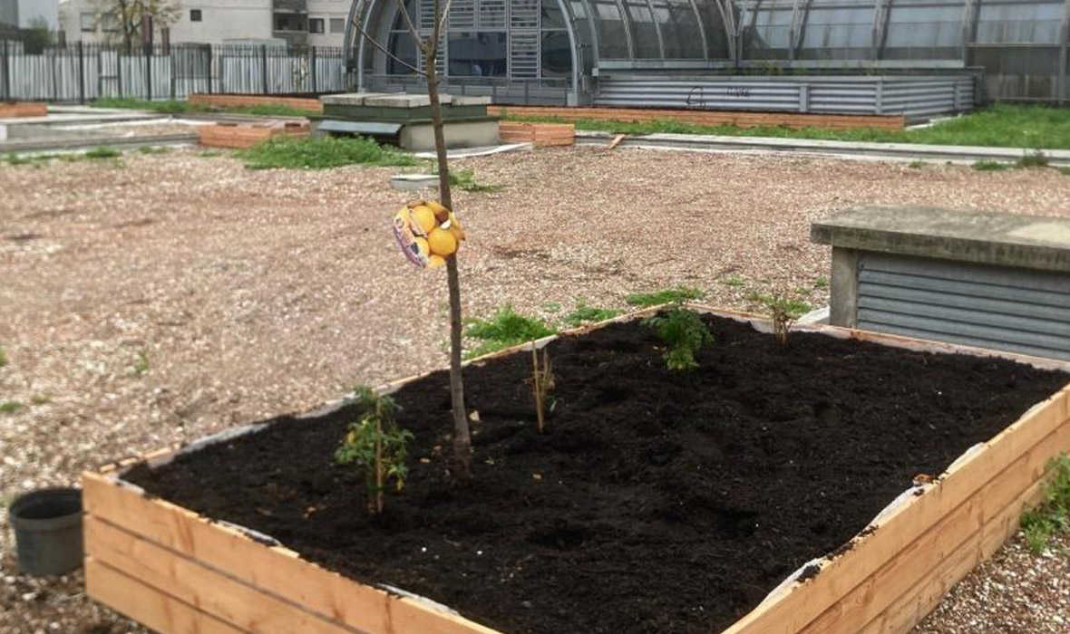 5,000 m² reimagined: urban farming on the roof of a shopping centre